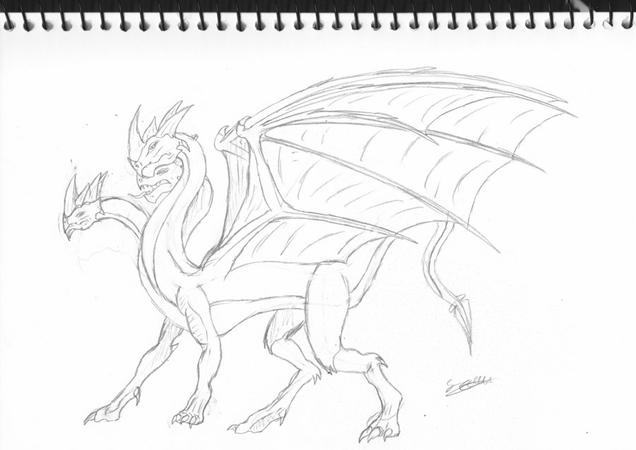 Hydra Dragon Drawing Art