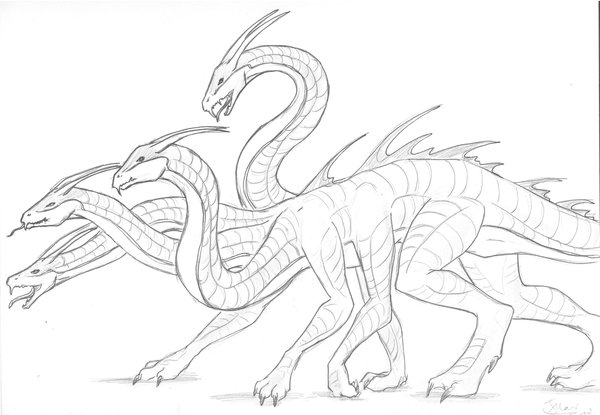 Hydra Dragon Drawing Picture