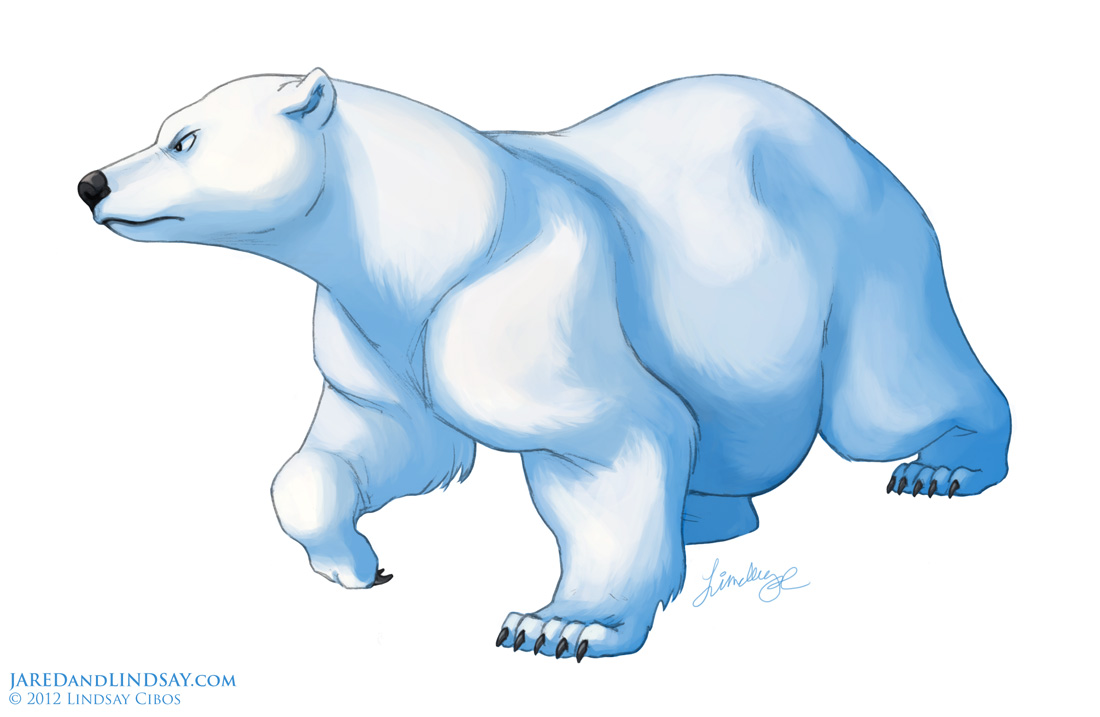 Ice Bear Drawing Pic