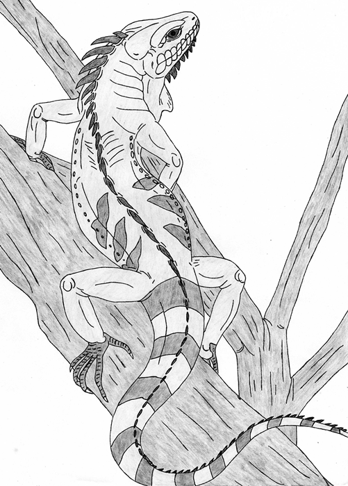 Iguana Drawing Art