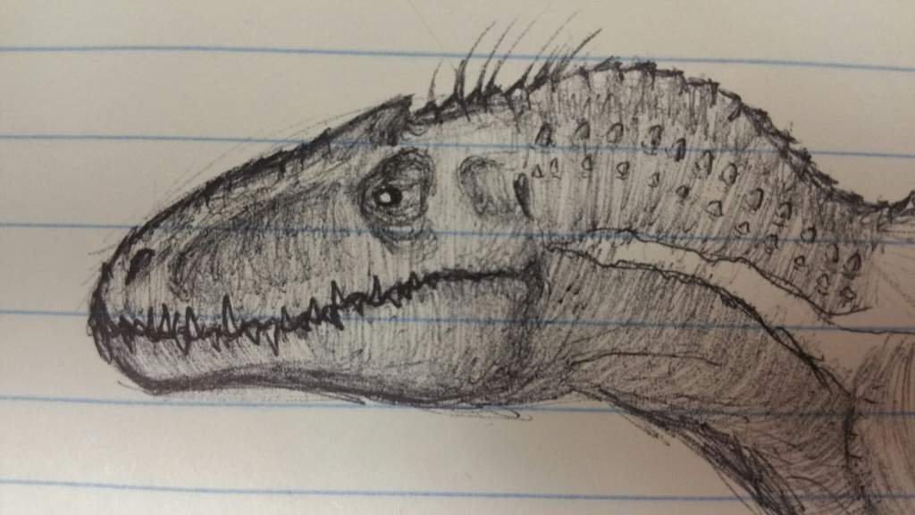 Indominus Rex Drawing Photo