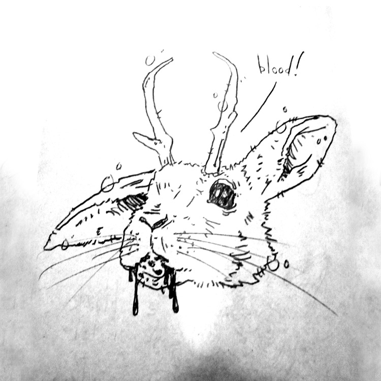 Jackalope Drawing Beautiful Art