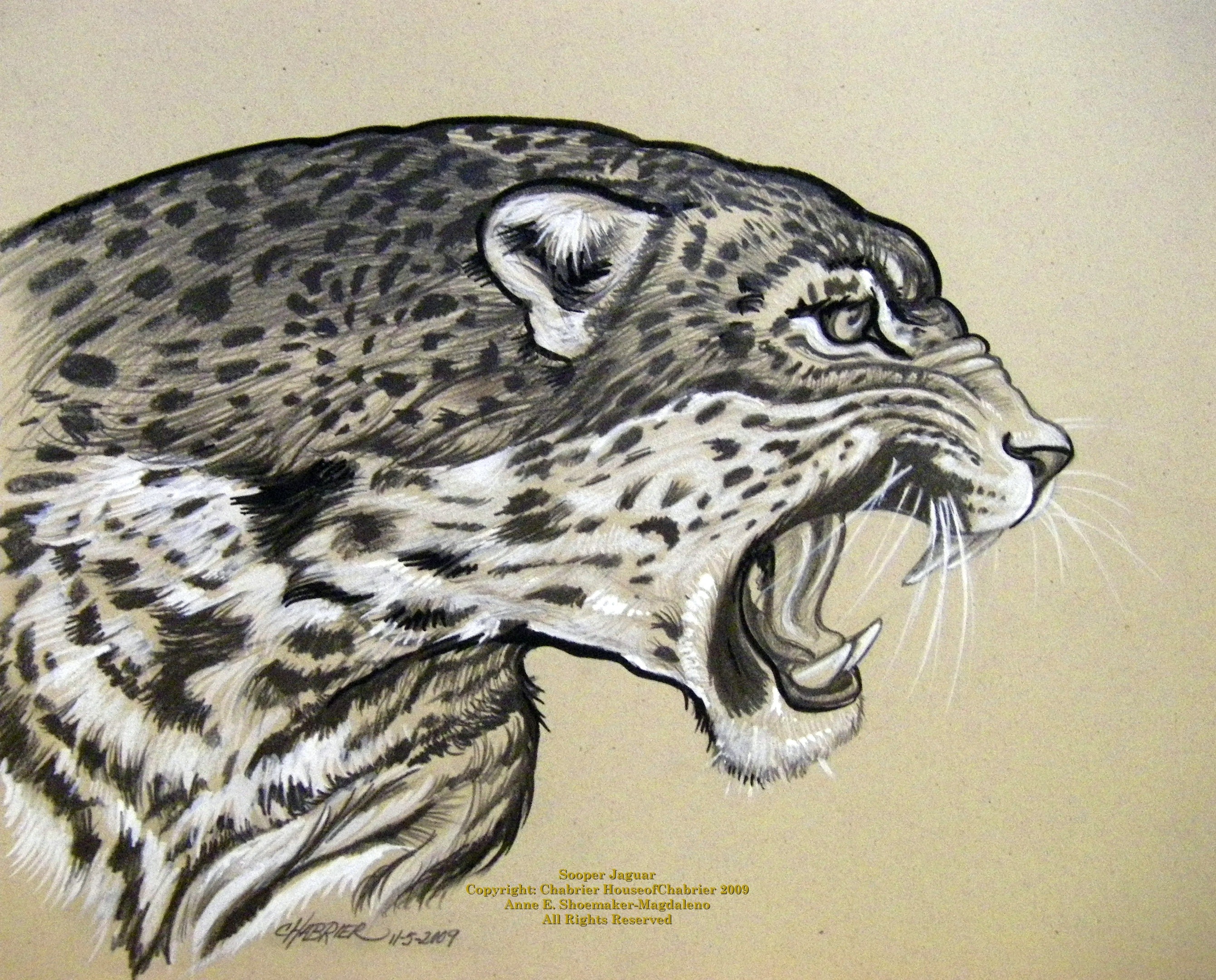 Jaguar Animal Drawing Amazing - Drawing Skill