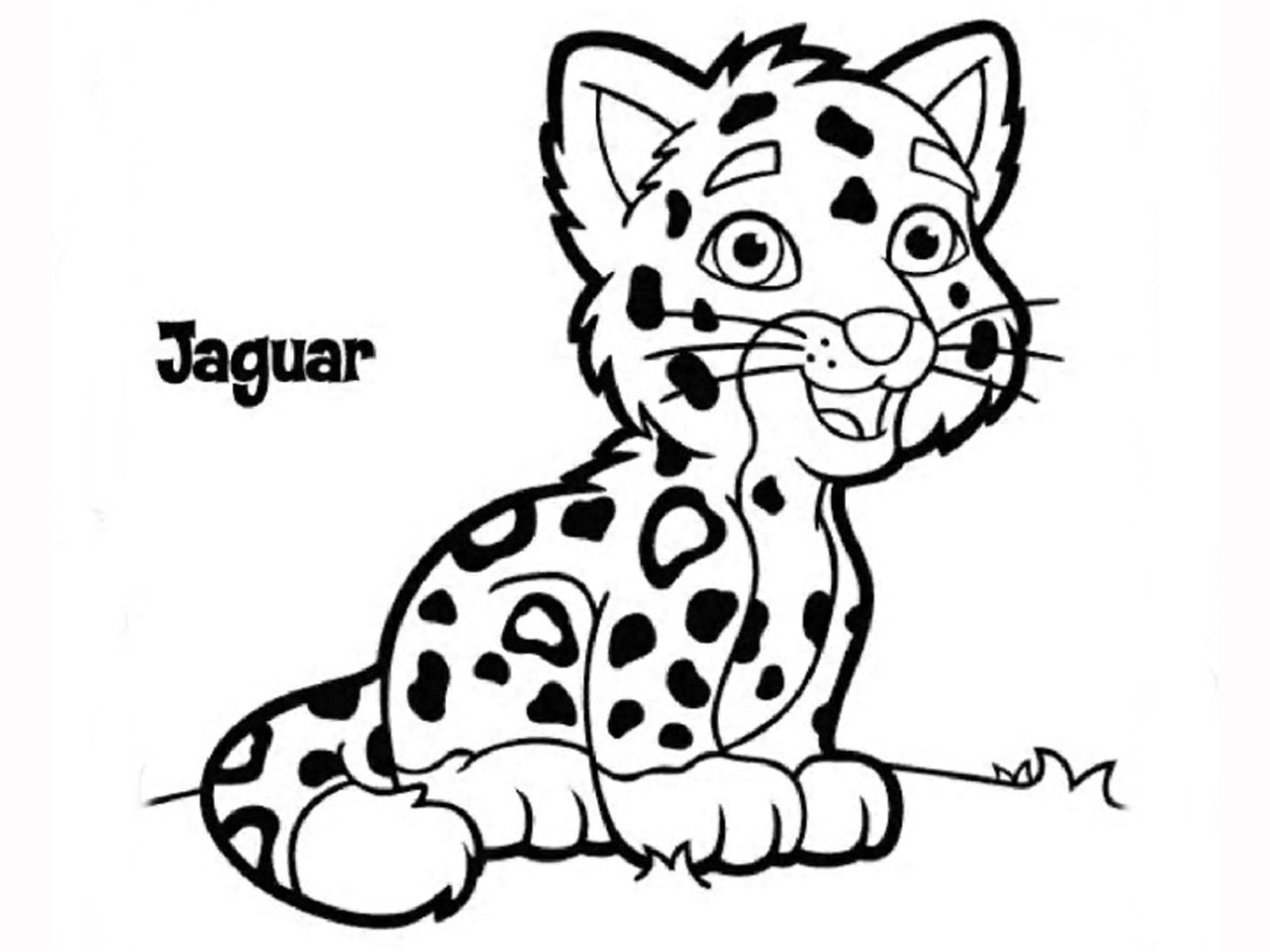 Jaguar Animal Drawing Beautiful Art