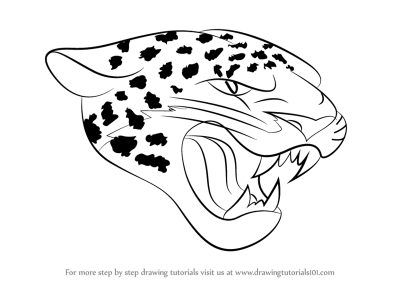Jaguar Animal Drawing Images