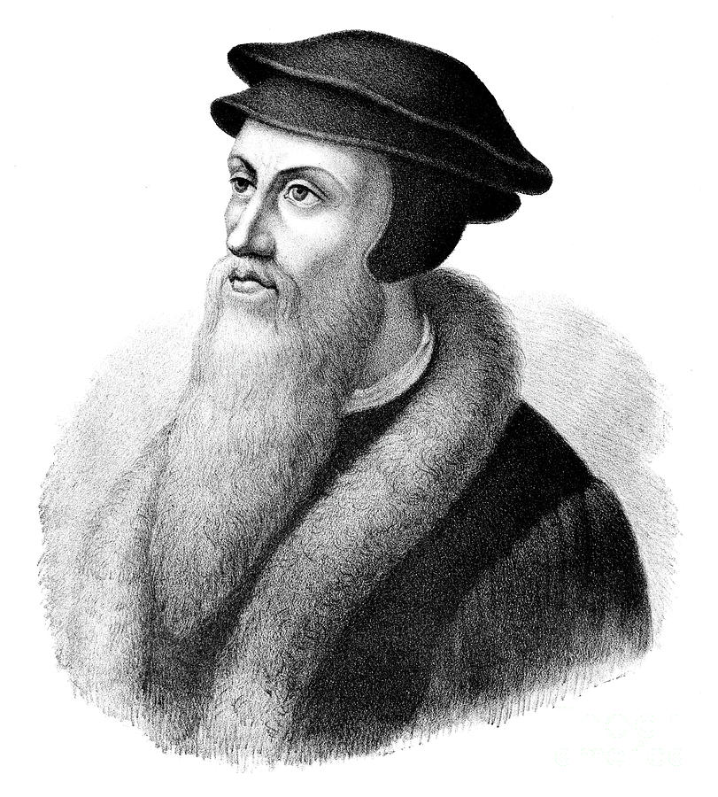 John Calvin Drawing Images