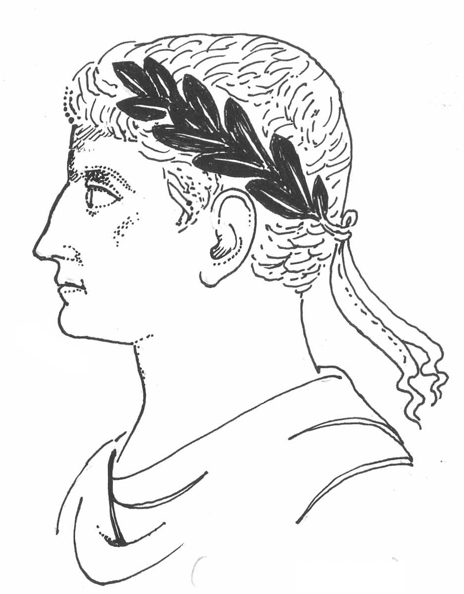 Julius Caesar Drawing Photo