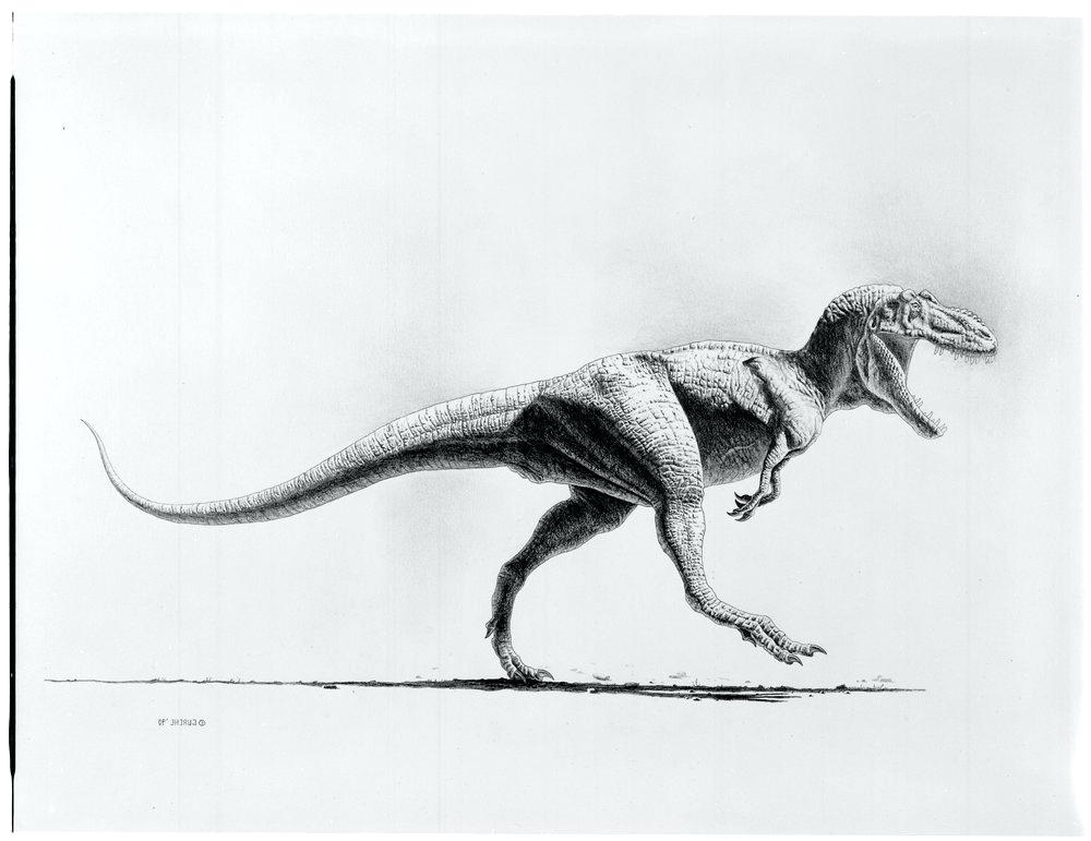 Jurassic World Dinosaur Drawing Amazing