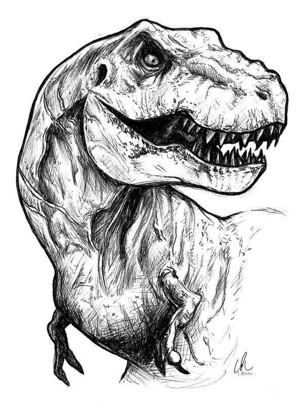 Jurassic World Dinosaur Drawing Art