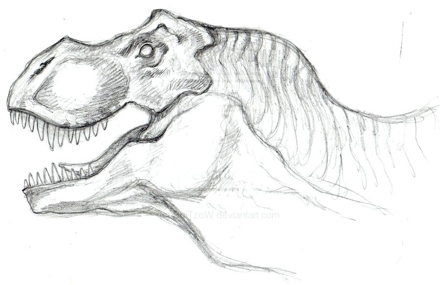 Jurassic World Dinosaur Drawing Beautiful Image