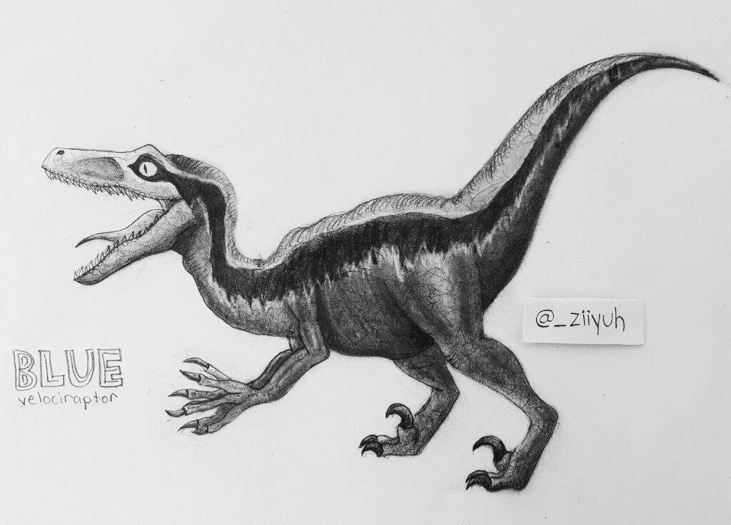 Jurassic World Fallen Kingdom Dinosaur Drawing Photo