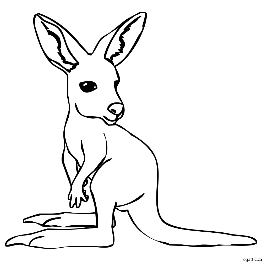 Kangaroo Art Drawing