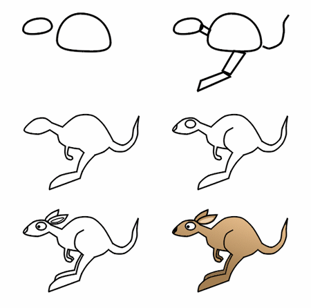 Kangaroo Drawing Art