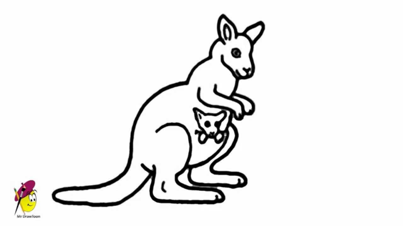 Kangaroo Drawing Pictures