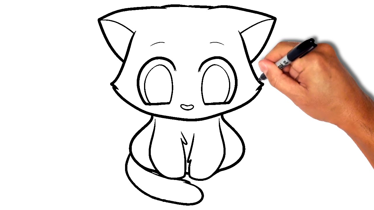 Kitten Drawing Beautiful Image