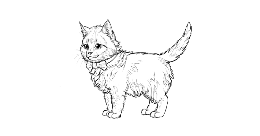 Kitten Drawing Sketch