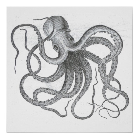 Kraken Drawing Beautiful Image