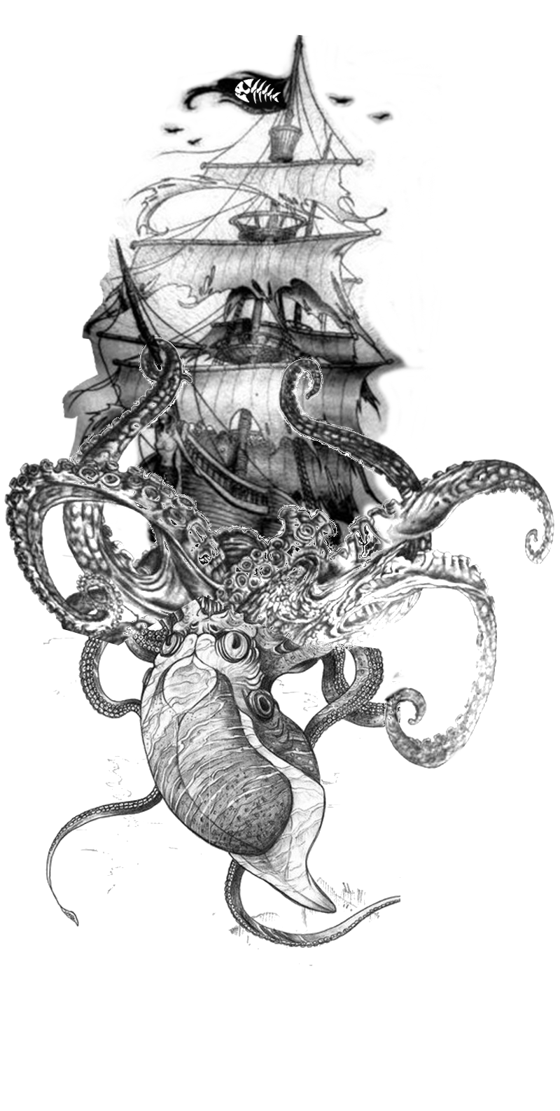Kraken Drawing Picture