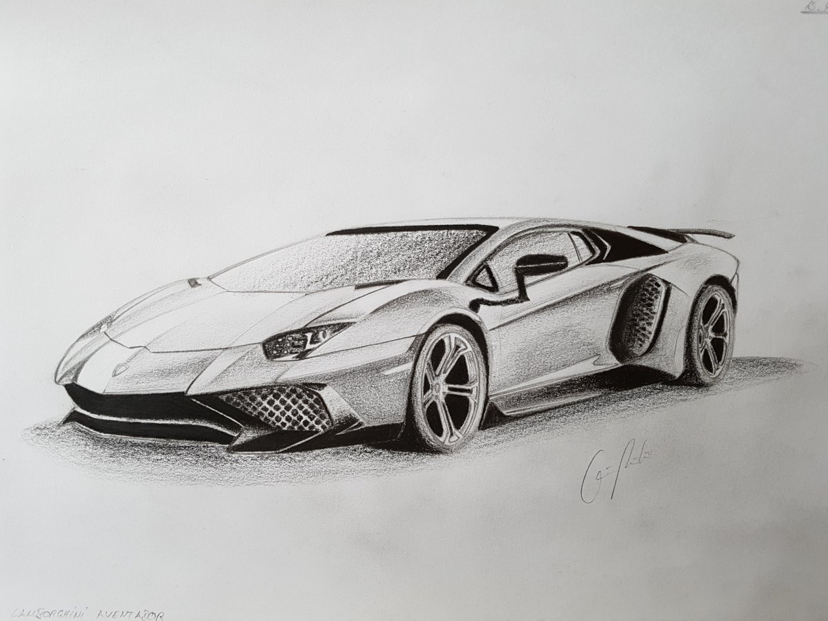 Lamborghini Drawing Sketch