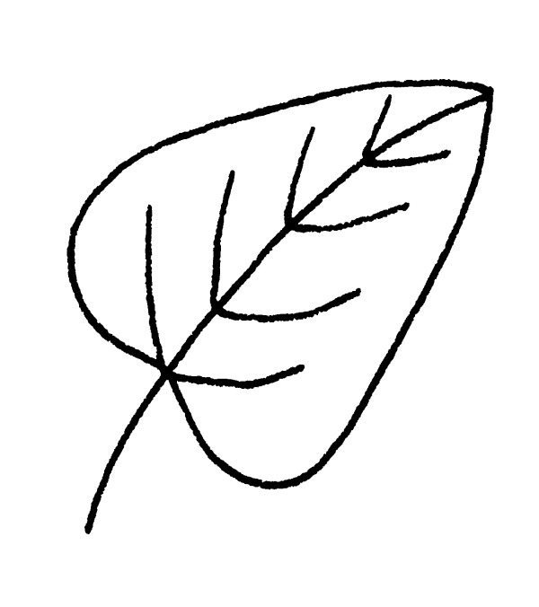Leaf Art Drawing