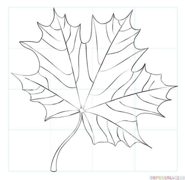 Leaf Drawing Images