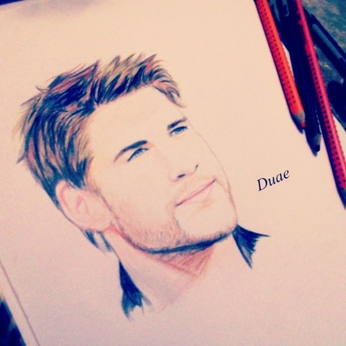 Liam Hemsworth Drawing Photo