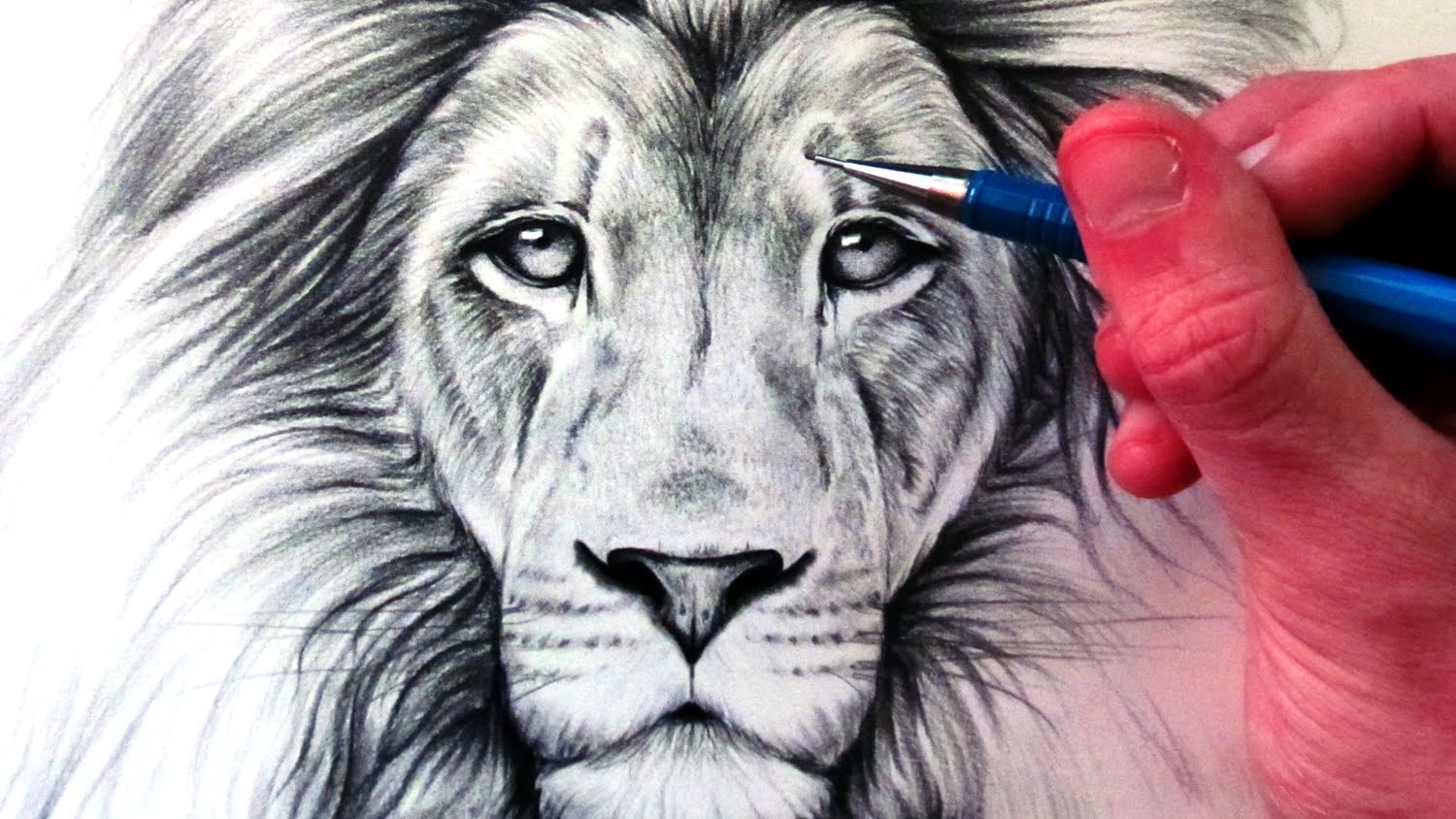 Lion Face Drawing Pic