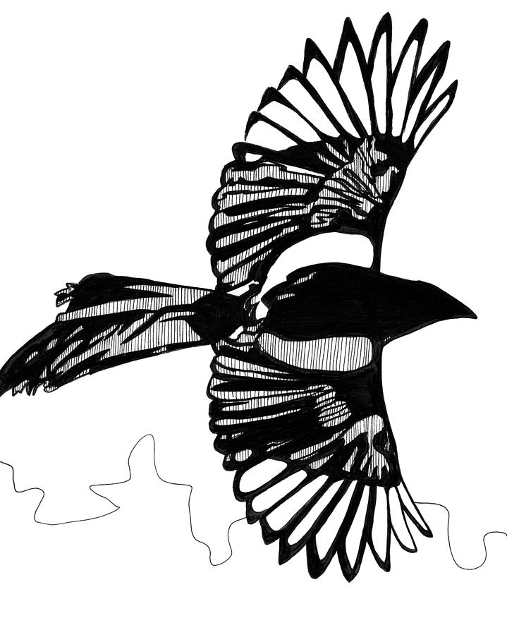 Magpie Art Drawing