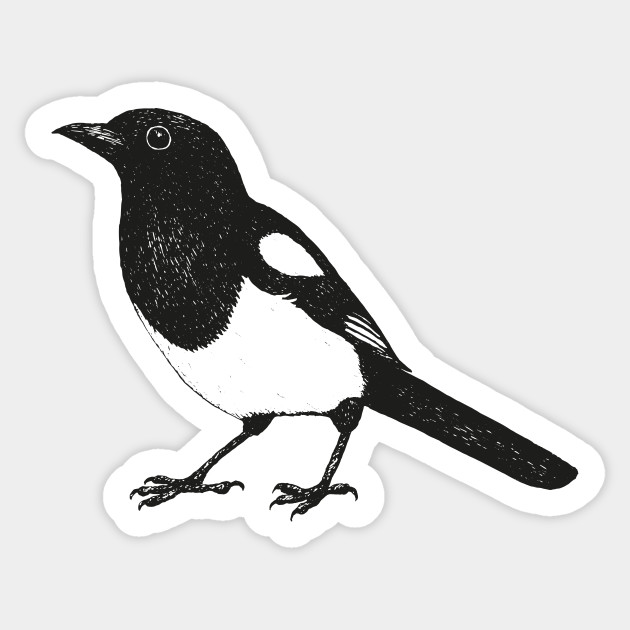 Magpie Drawing Image