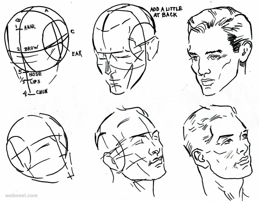 Male Face Drawing