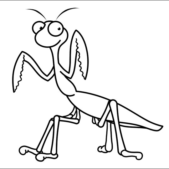 Mantis Drawing Pics