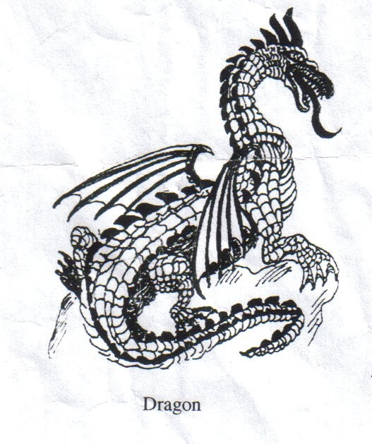 Medieval Dragon Drawing Picture