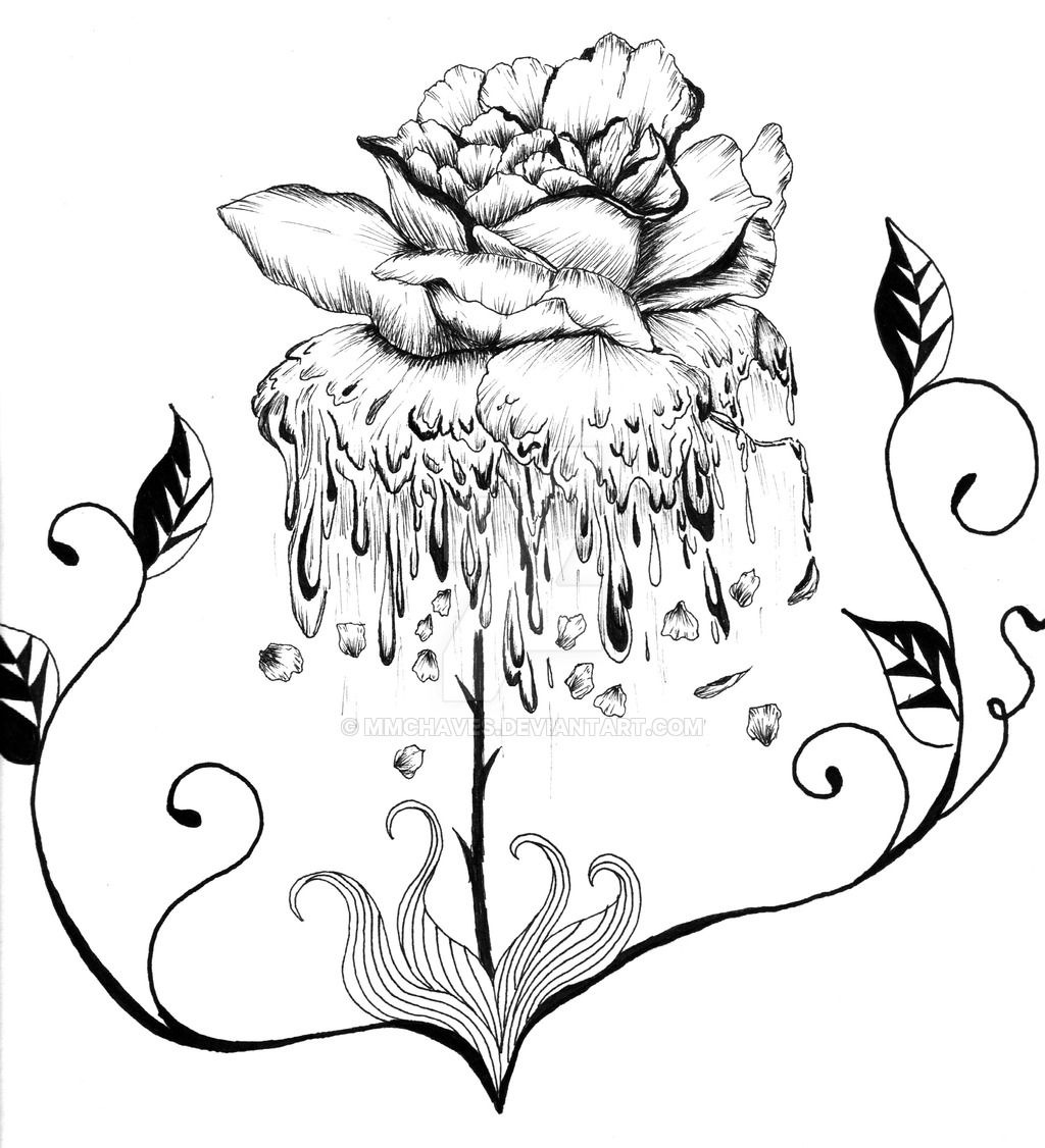 Melting Rose Drawing Images