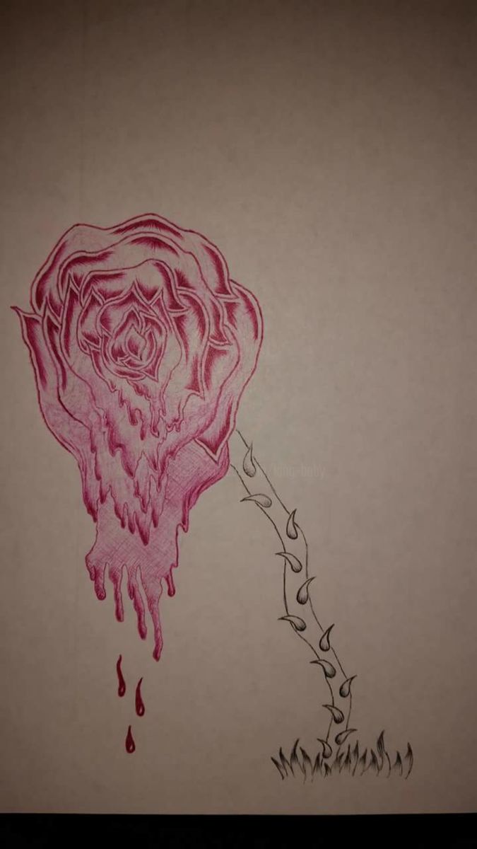 Melting Rose Drawing Pics