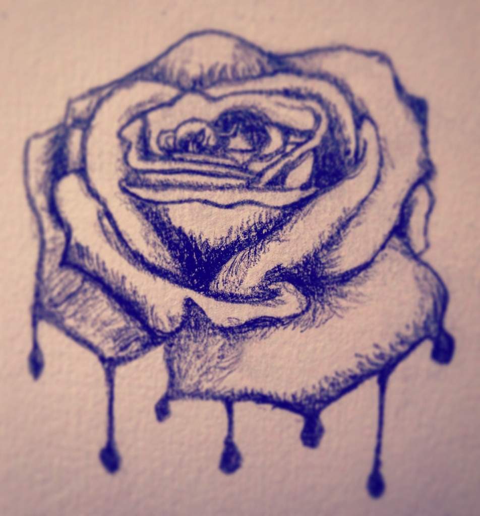 Melting Rose Drawing Realistic