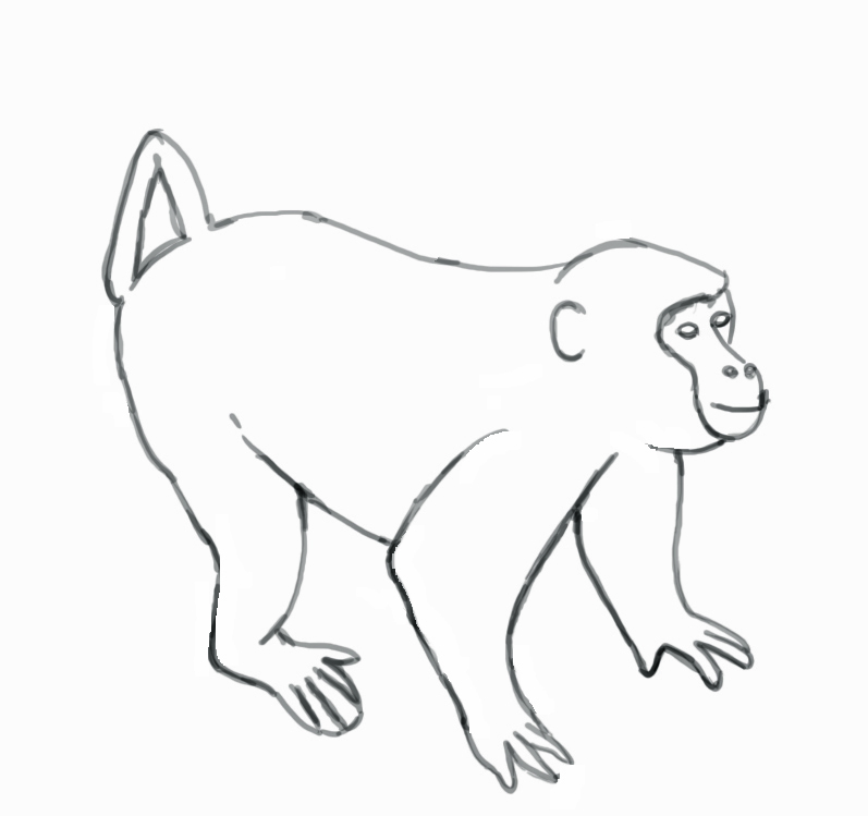 Monkey Drawing Art
