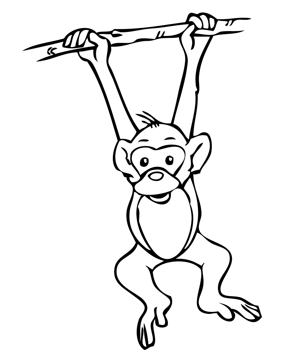 Monkey Drawing Picture