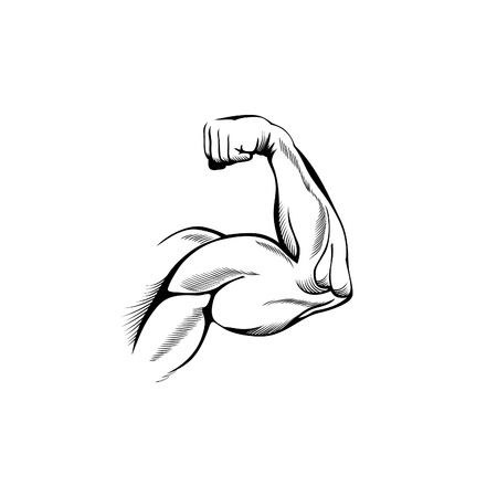 Muscles Drawing Sketch