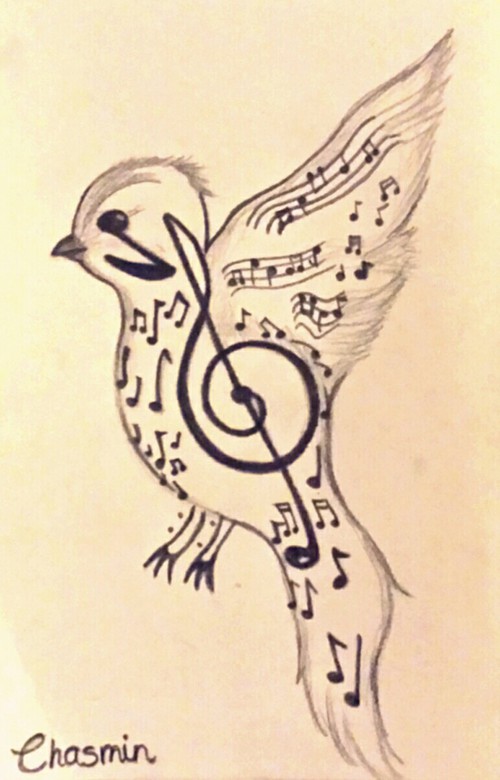 Music Bird Drawing High-Quality