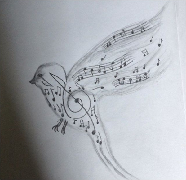 Music Bird Drawing Images