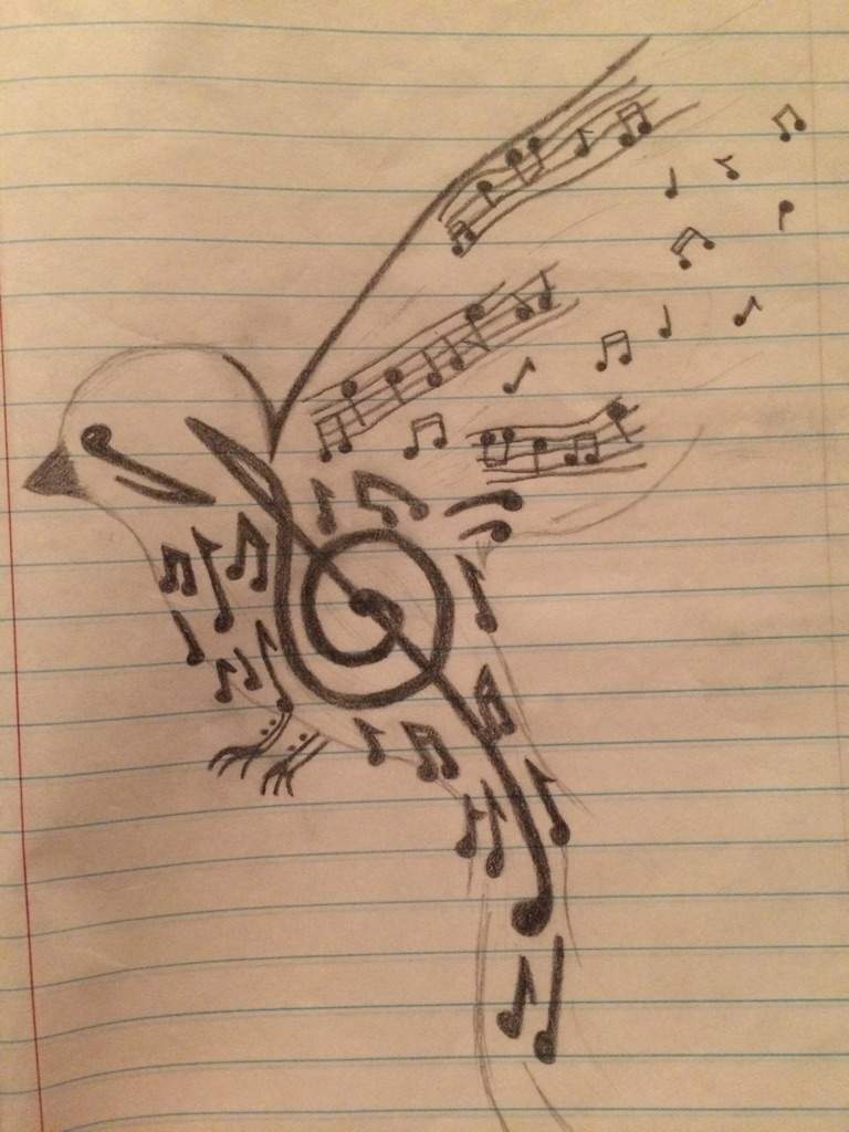 Music Bird Drawing Photo