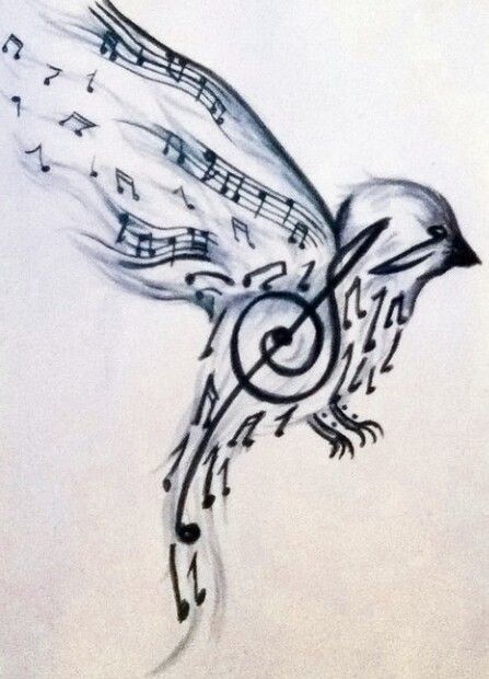 Music Bird Drawing Picture