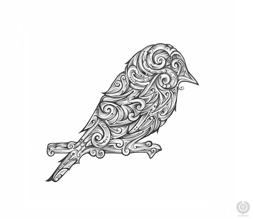 Music Bird Drawing Pictures