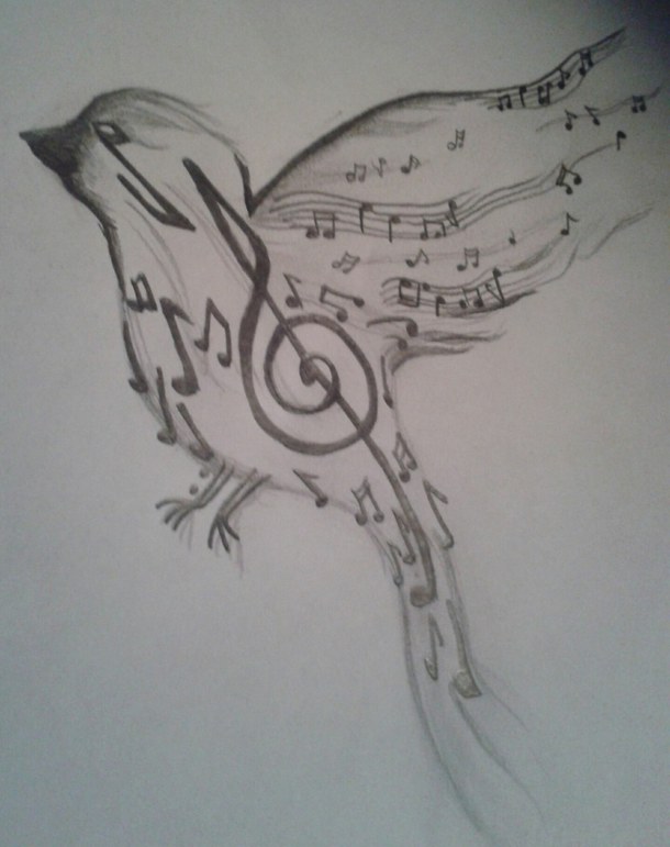 Music Bird Drawing Sketch