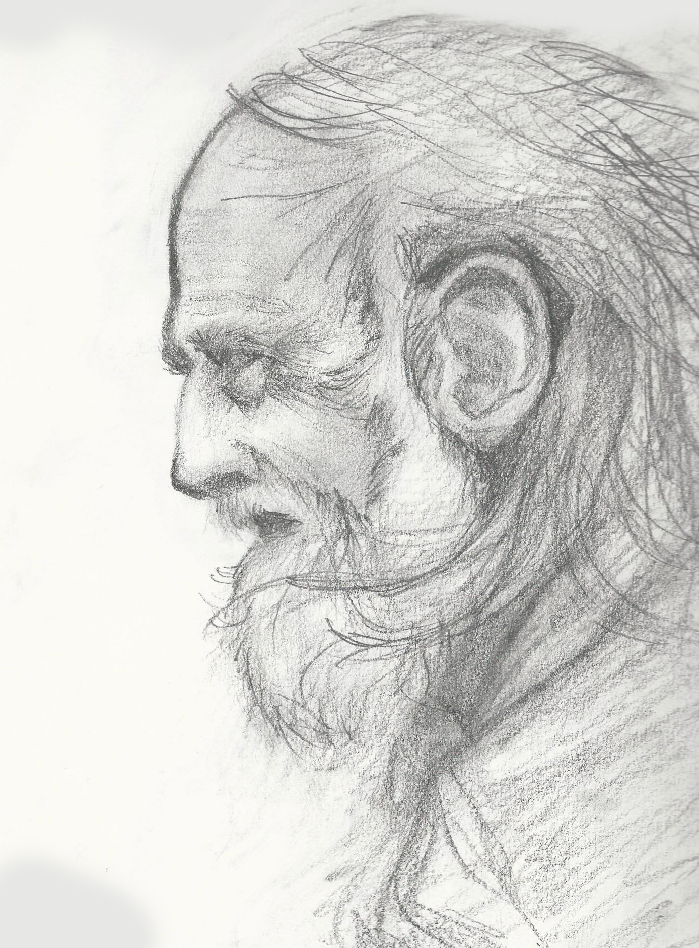 Old Man Art Drawing