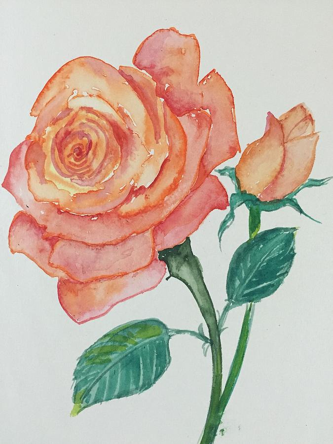 Orange Rose Drawing Pic