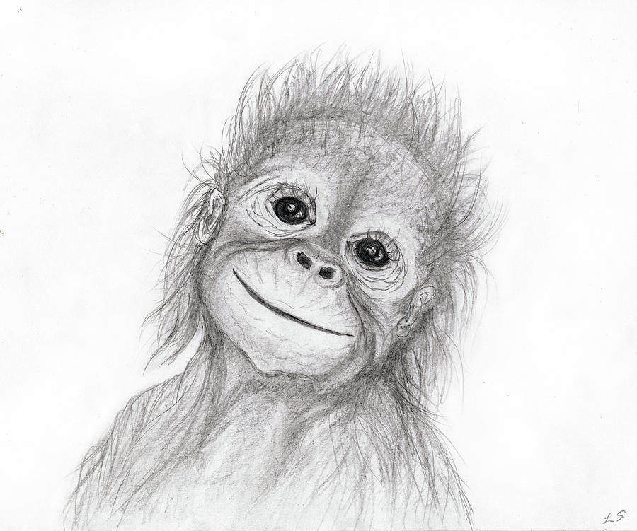 Orangutan Drawing Pic