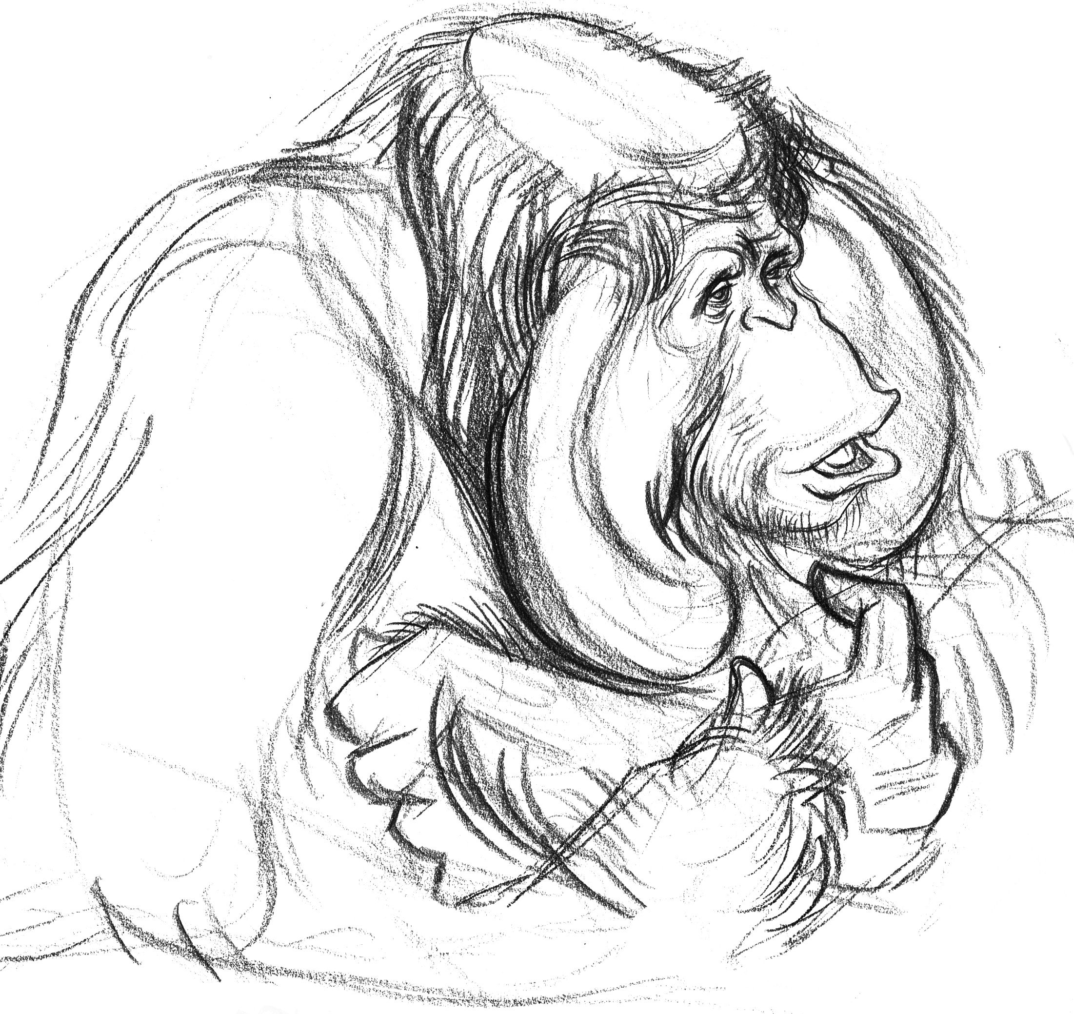 Orangutan Drawing Pics