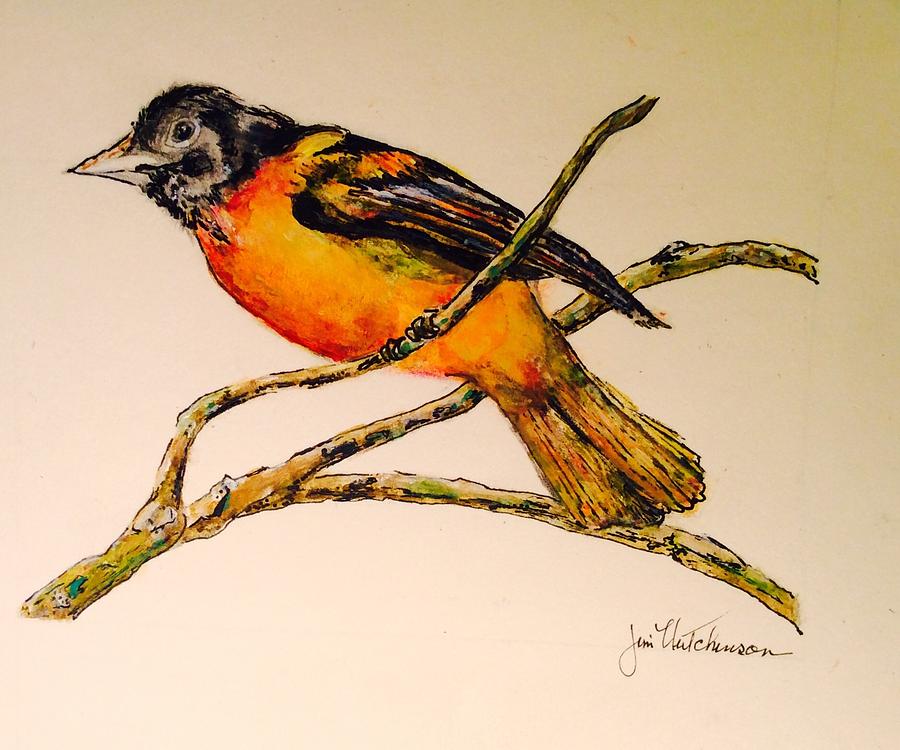 Oriole Drawing Realistic