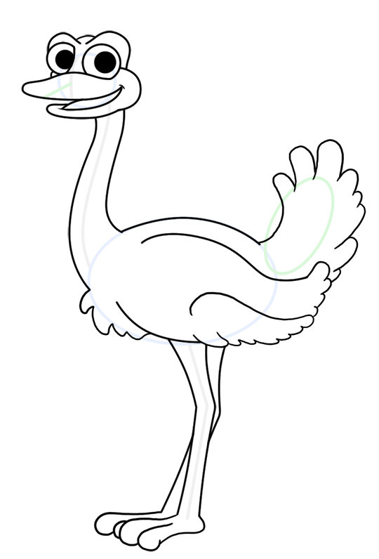 Ostrich Drawing Image